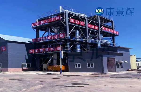我需要采購mvr蒸發(fā)器，能處理硫酸鈉和硫酸銨廢水，一天300噸，有哪些廠家可以推薦給我